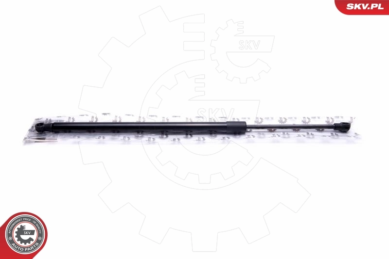 Gas Spring, boot/cargo area